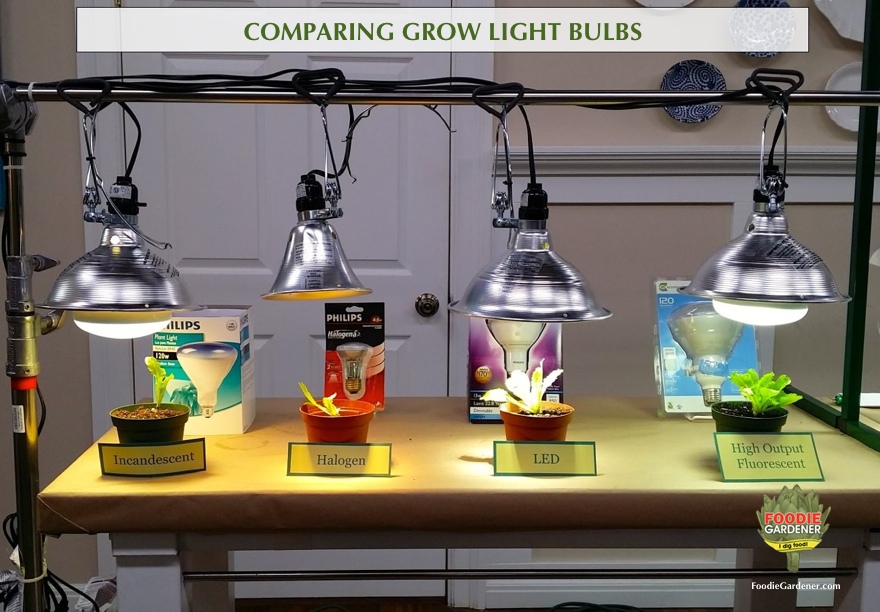 do grow lights work in daylight
