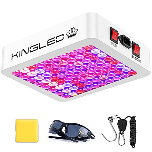 KingLED Newest 600w LED Grow Lights with LM301B LEDs and ...