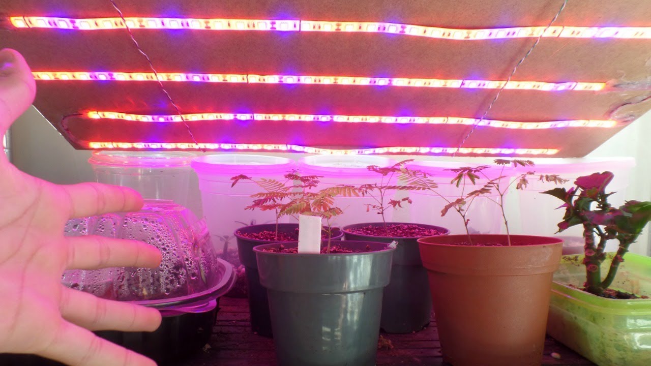 can i use led strip lights as grow lights