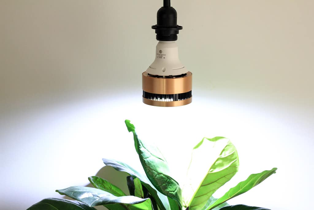 what is a full spectrum grow light