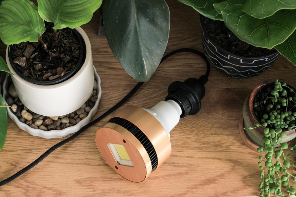 are grow lights bad for your skin