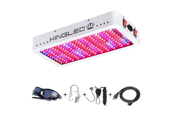 King Plus LED Grow Light