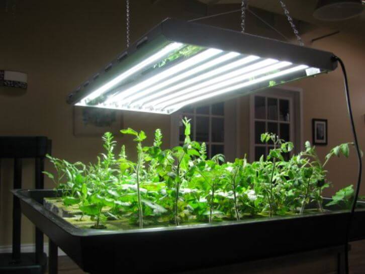 are t5 grow lights good